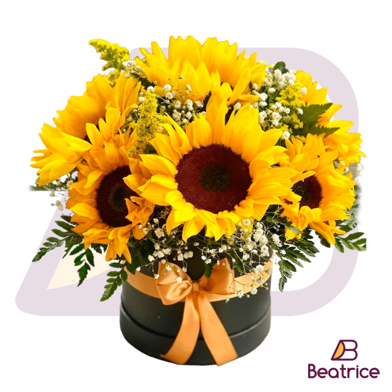 Caja de girasoles